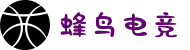 蜂鸟电竞（中国）官方网站-Fengniao Esports